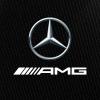 Mercedes-AMG Petronas F1 Team